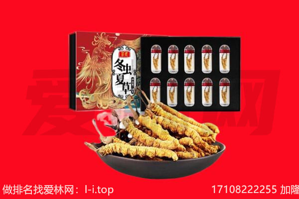 曲沃县回收虫草.jpg
